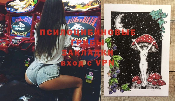 а пвп мука Надым